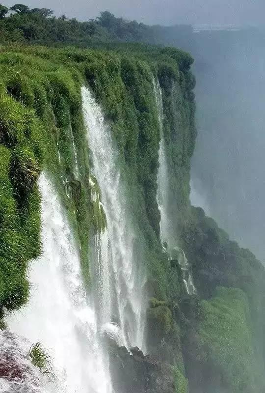 勇闯精灵大陆4